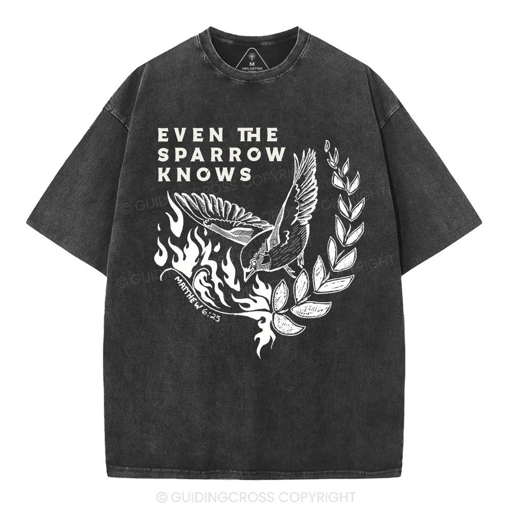 Even The Sparrow Knows Washed T-Shirt-ZP