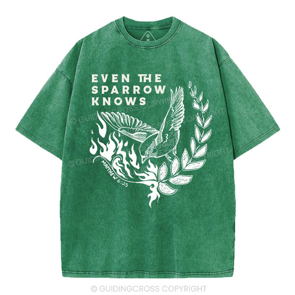 Even The Sparrow Knows Washed T-Shirt-ZP