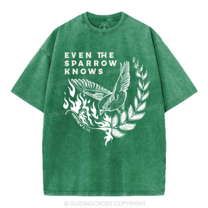 Even The Sparrow Knows Washed T-Shirt-ZP