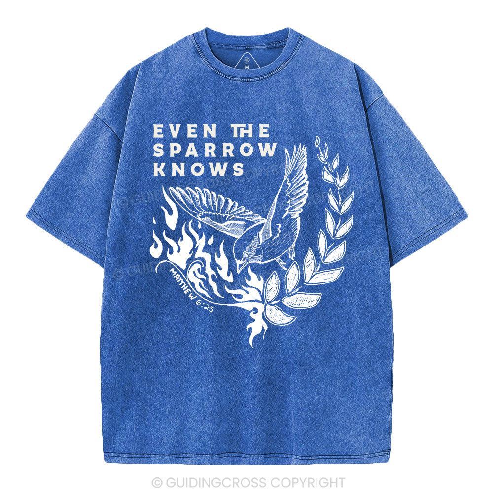 Even The Sparrow Knows Washed T-Shirt-ZP