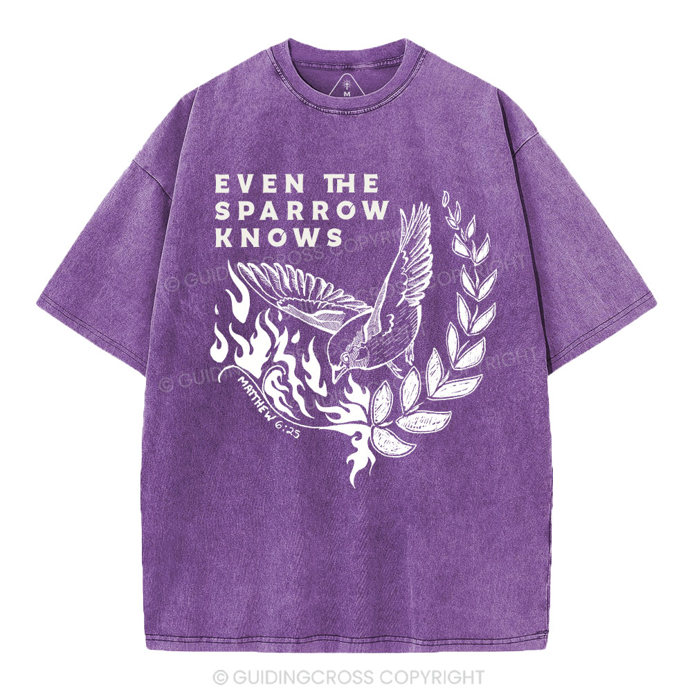 Even The Sparrow Knows Washed T-Shirt-ZP