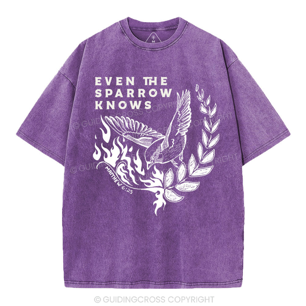 Even The Sparrow Knows Washed T-Shirt-ZP