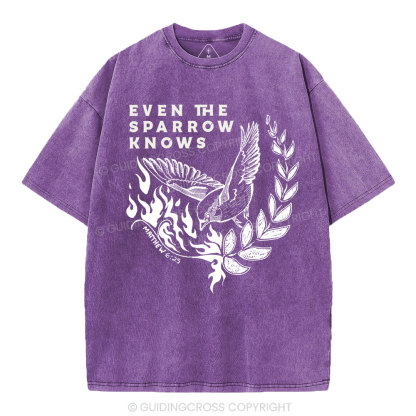 Even The Sparrow Knows Washed T-Shirt-ZP