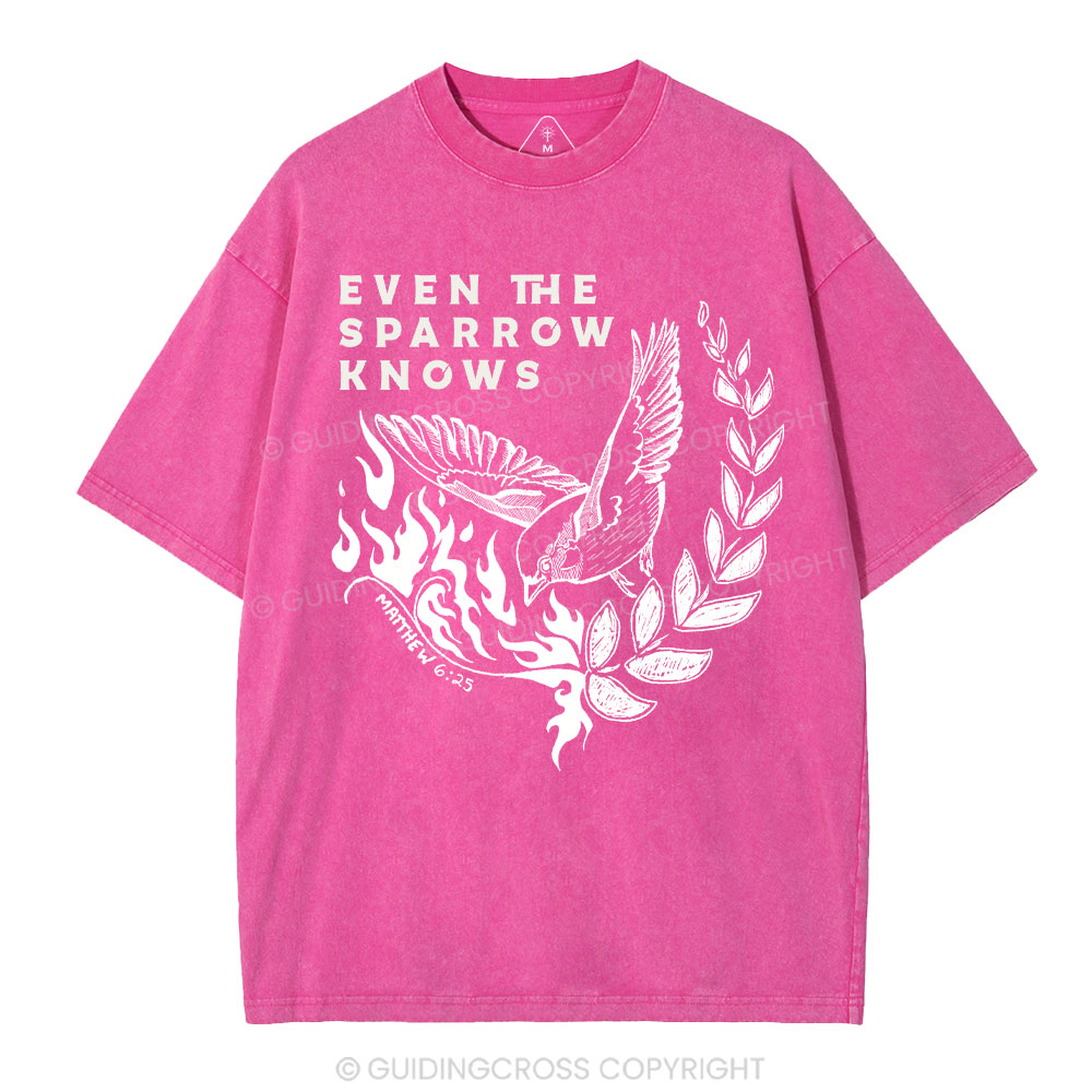 Even The Sparrow Knows Washed T-Shirt-ZP