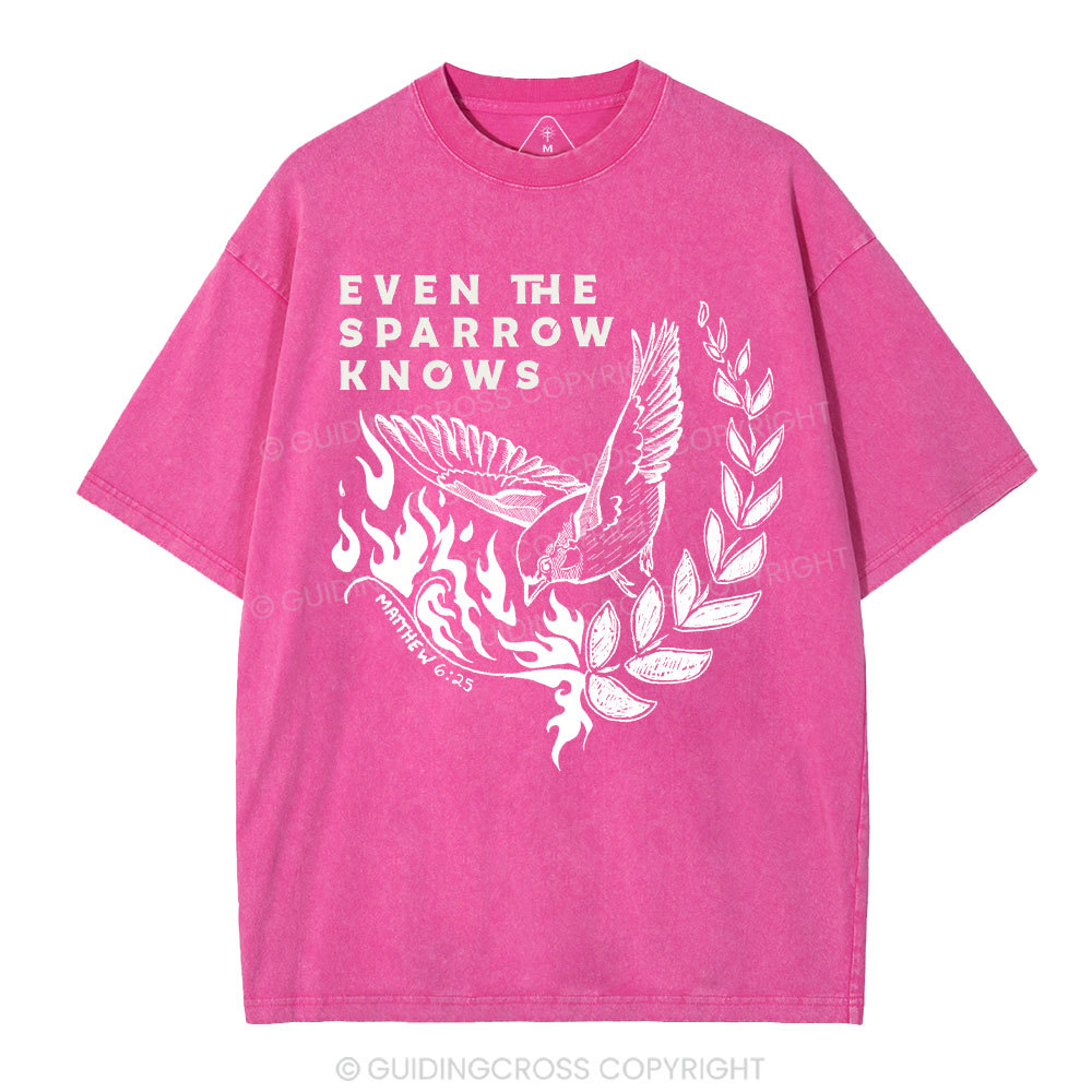 Even The Sparrow Knows Washed T-Shirt-ZP