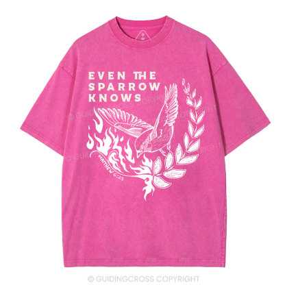 Even The Sparrow Knows Washed T-Shirt-ZP