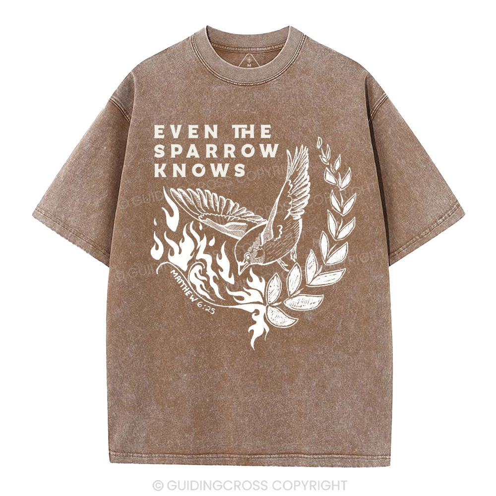 Even The Sparrow Knows Washed T-Shirt-ZP