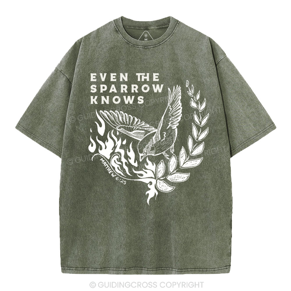 Even The Sparrow Knows Washed T-Shirt-ZP