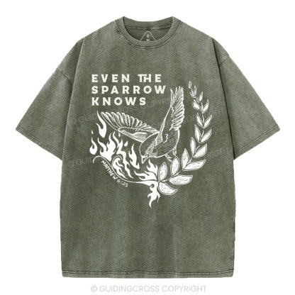 Even The Sparrow Knows Washed T-Shirt-ZP