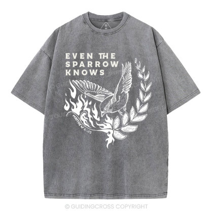 Even The Sparrow Knows Washed T-Shirt-ZP