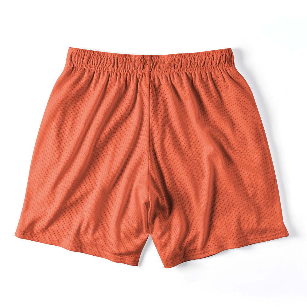 Faith Over Fear Dove Christian Mesh Shorts