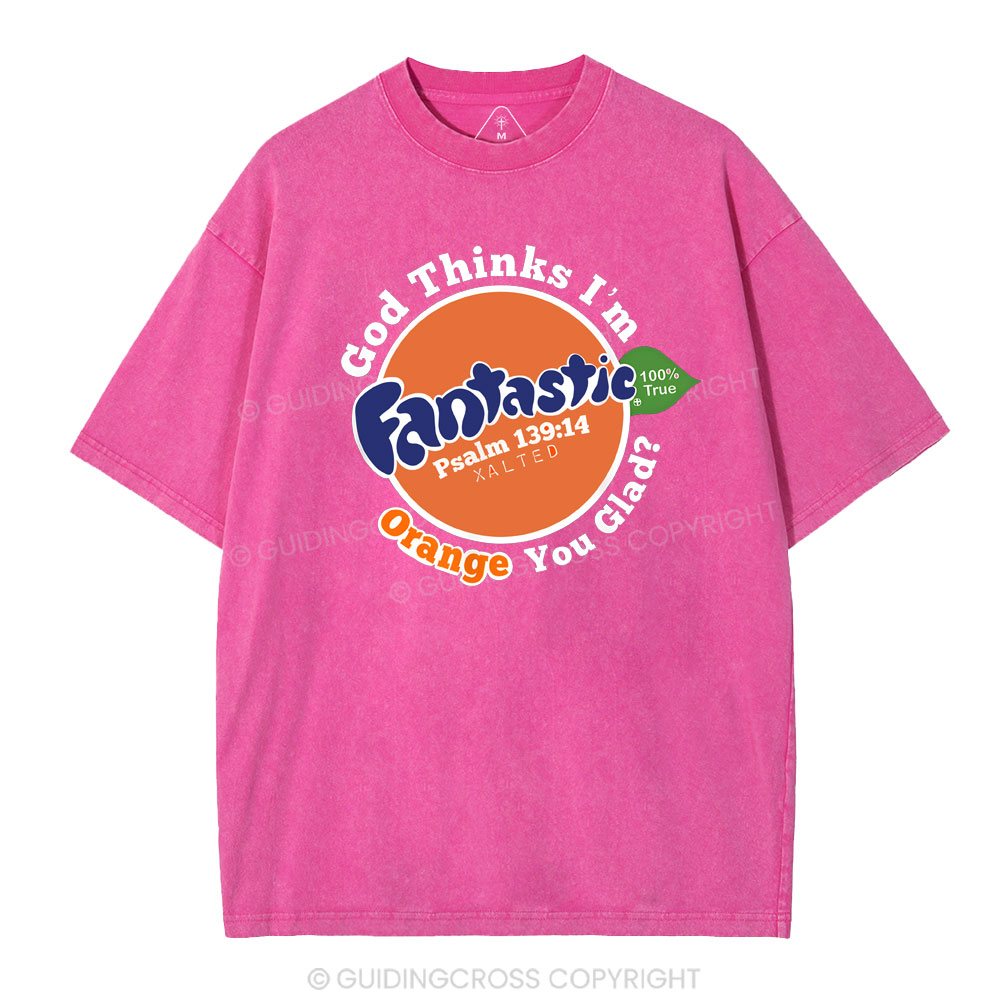 Fantastic Christian Washed T-Shirt
