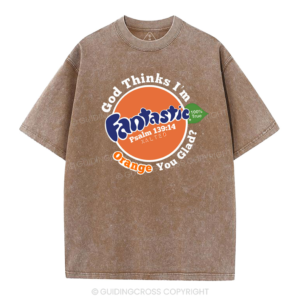 Fantastic Christian Washed T-Shirt