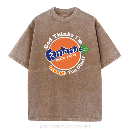 Fantastic Christian Washed T-Shirt