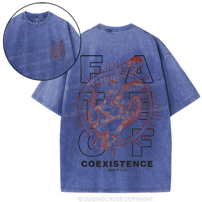 Fate Of Coexistence  Christian Washed T-Shirt