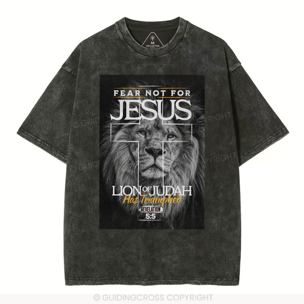 sample washed T-Shirt Sale - GuidingCross