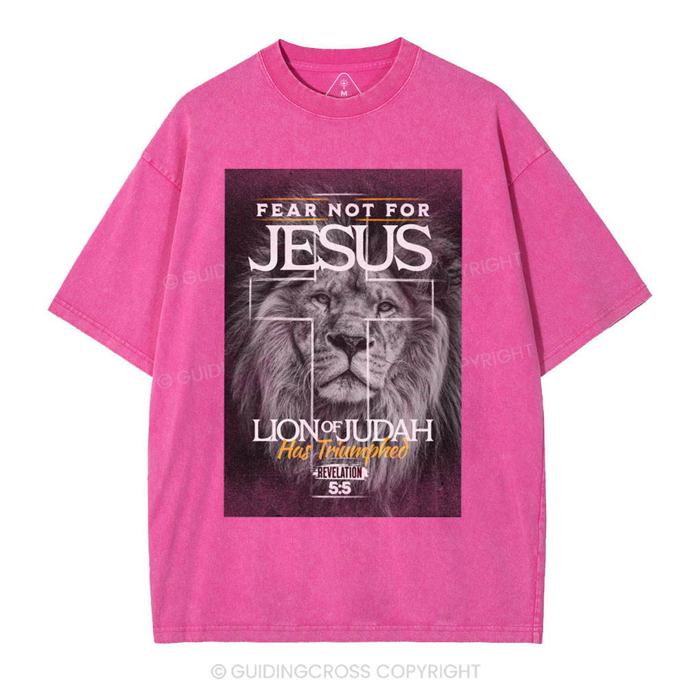 Fear Not For Jesus Christian Washed T-Shirt