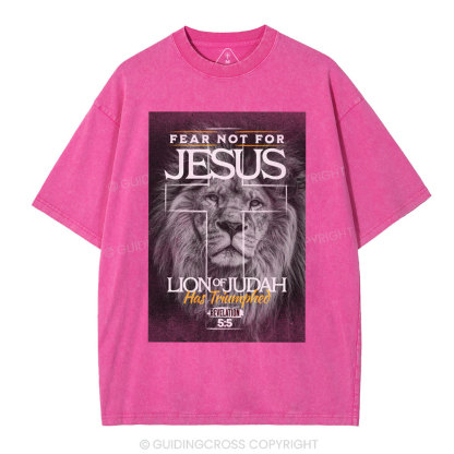 Fear Not For Jesus Christian Washed T-Shirt