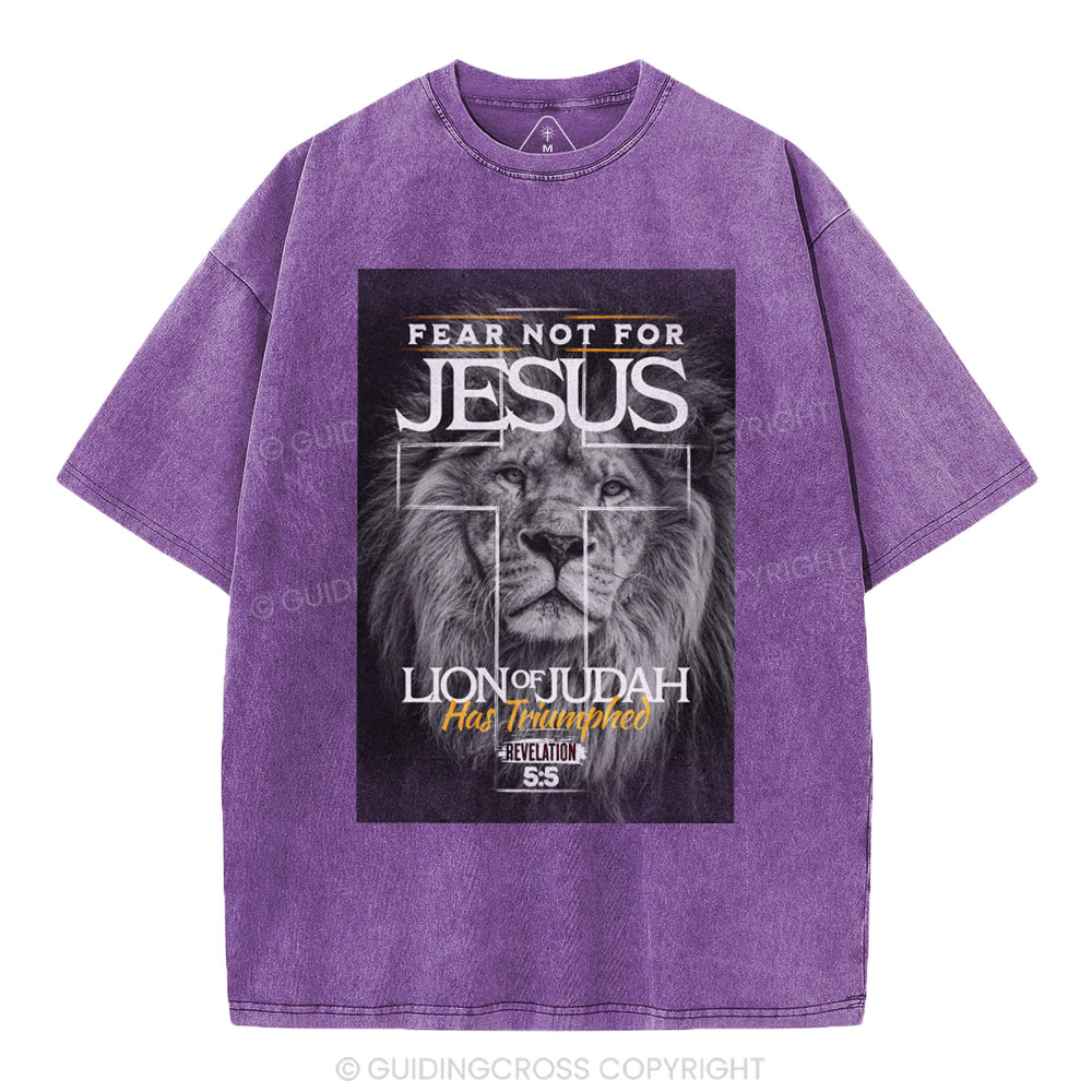 Fear Not For Jesus Christian Washed T-Shirt