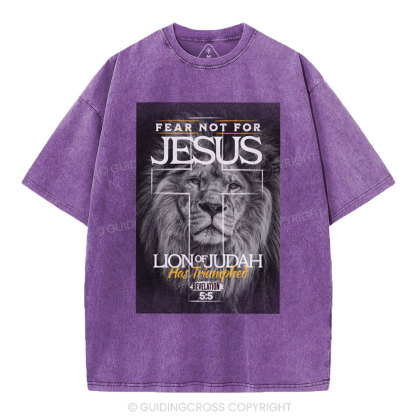 Fear Not For Jesus Christian Washed T-Shirt