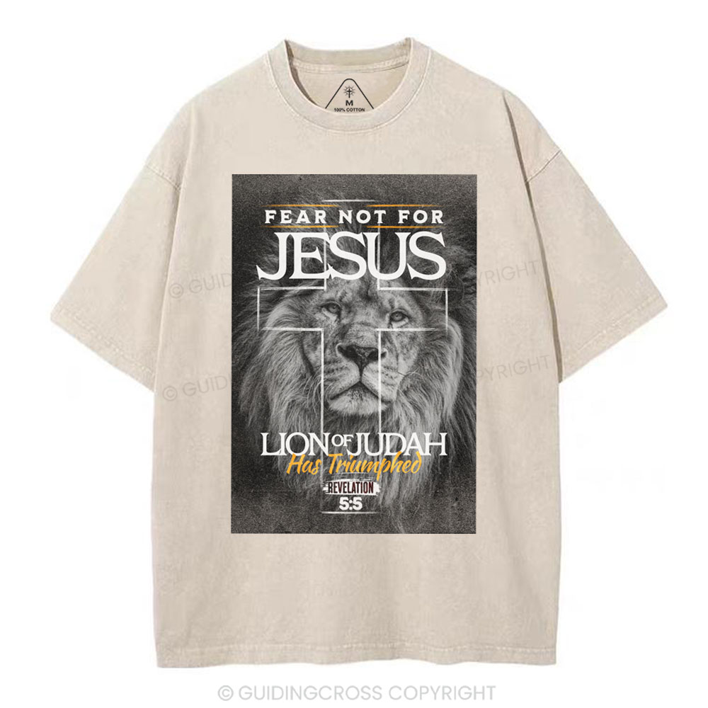 Fear Not For Jesus Christian Washed T-Shirt
