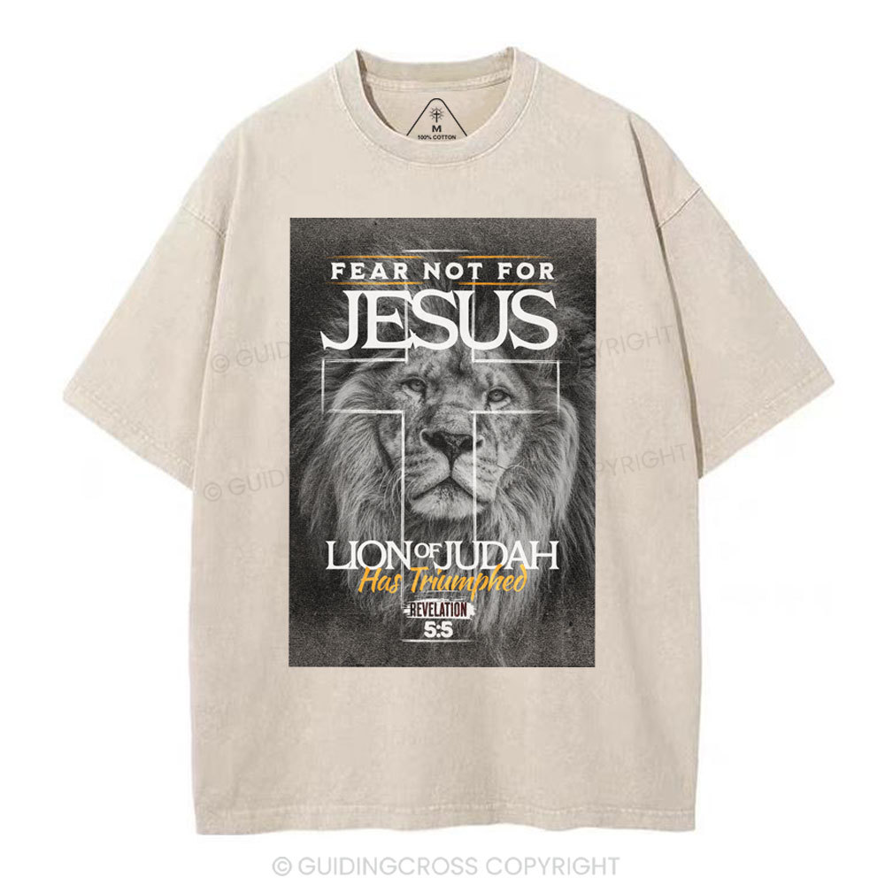 Fear Not For Jesus Christian Washed T-Shirt