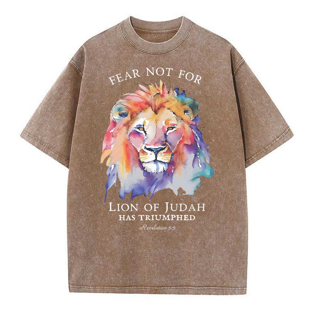 Fear Not For Lion Of Judah Christian Washed T-Shirt