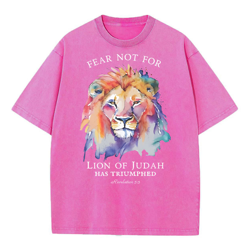Fear Not For Lion Of Judah Christian Washed T-Shirt