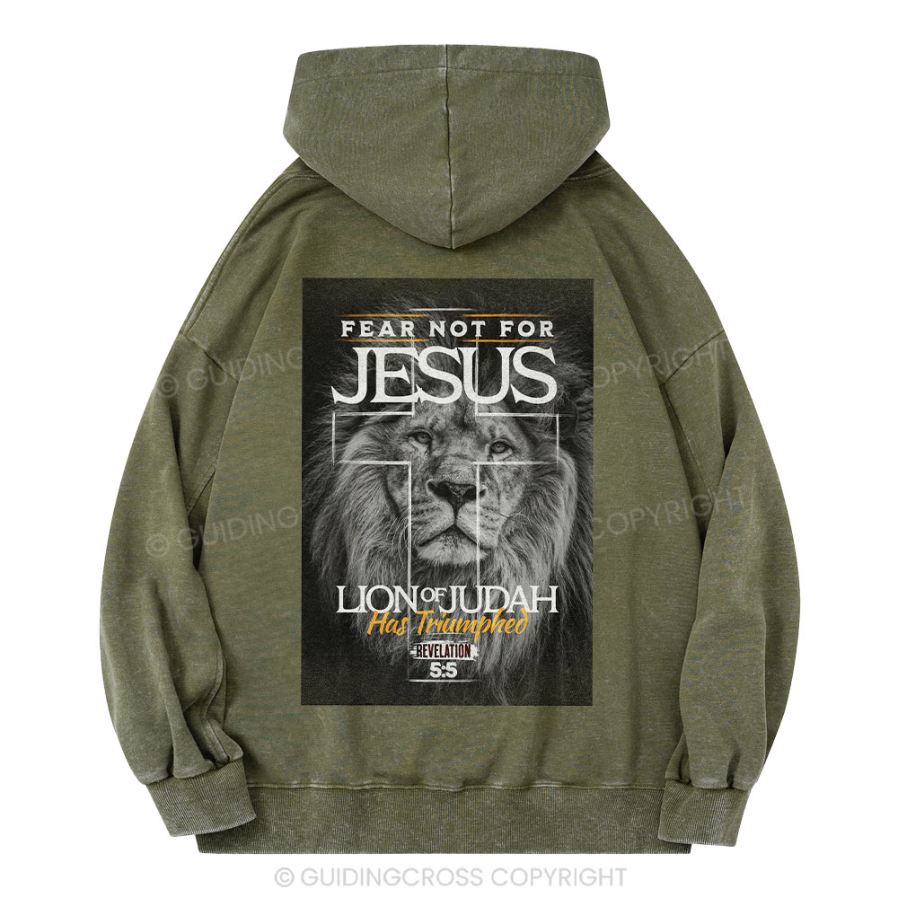 Fear Not Lion of Judah Christian Washed Hoodie