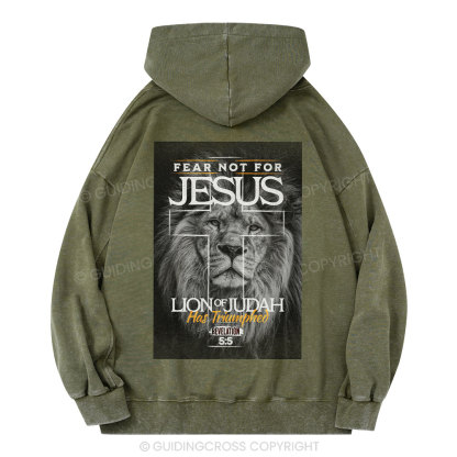 Fear Not Lion of Judah Christian Washed Hoodie