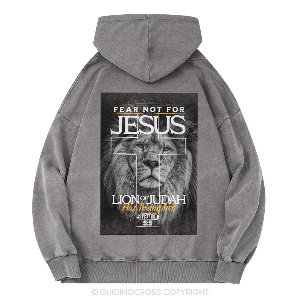 Fear Not Lion of Judah Christian Washed Hoodie