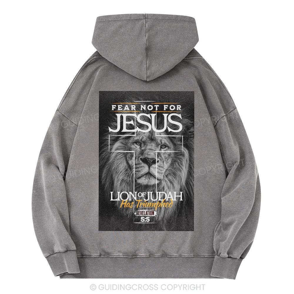 Fear Not Lion of Judah Christian Washed Hoodie