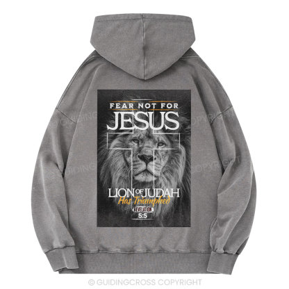 Fear Not Lion of Judah Christian Washed Hoodie