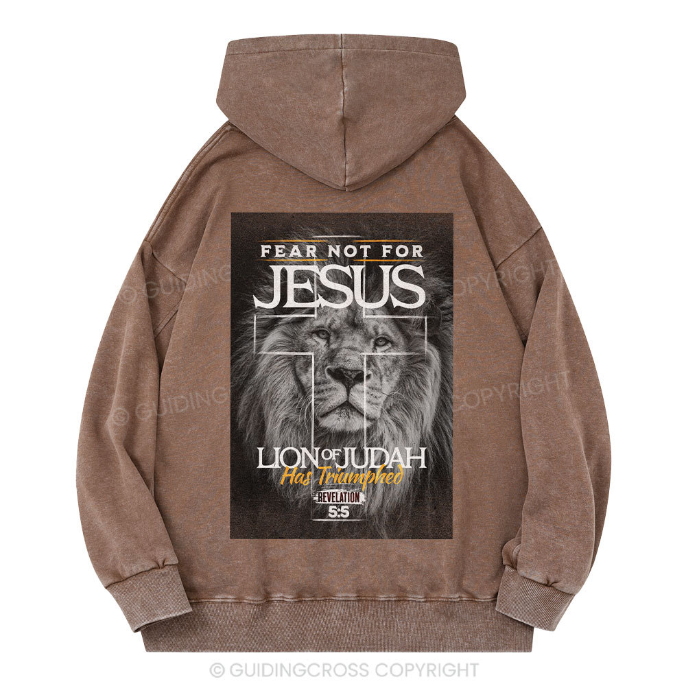 Fear Not Lion of Judah Christian Washed Hoodie