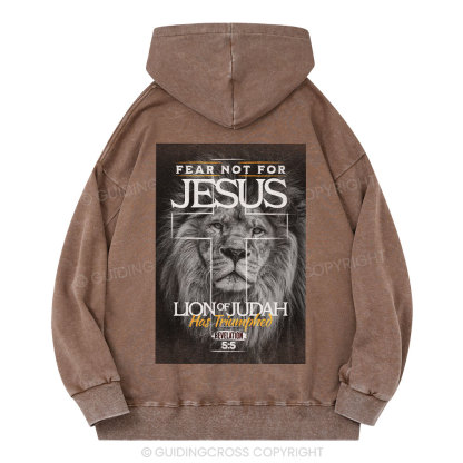 Fear Not Lion of Judah Christian Washed Hoodie