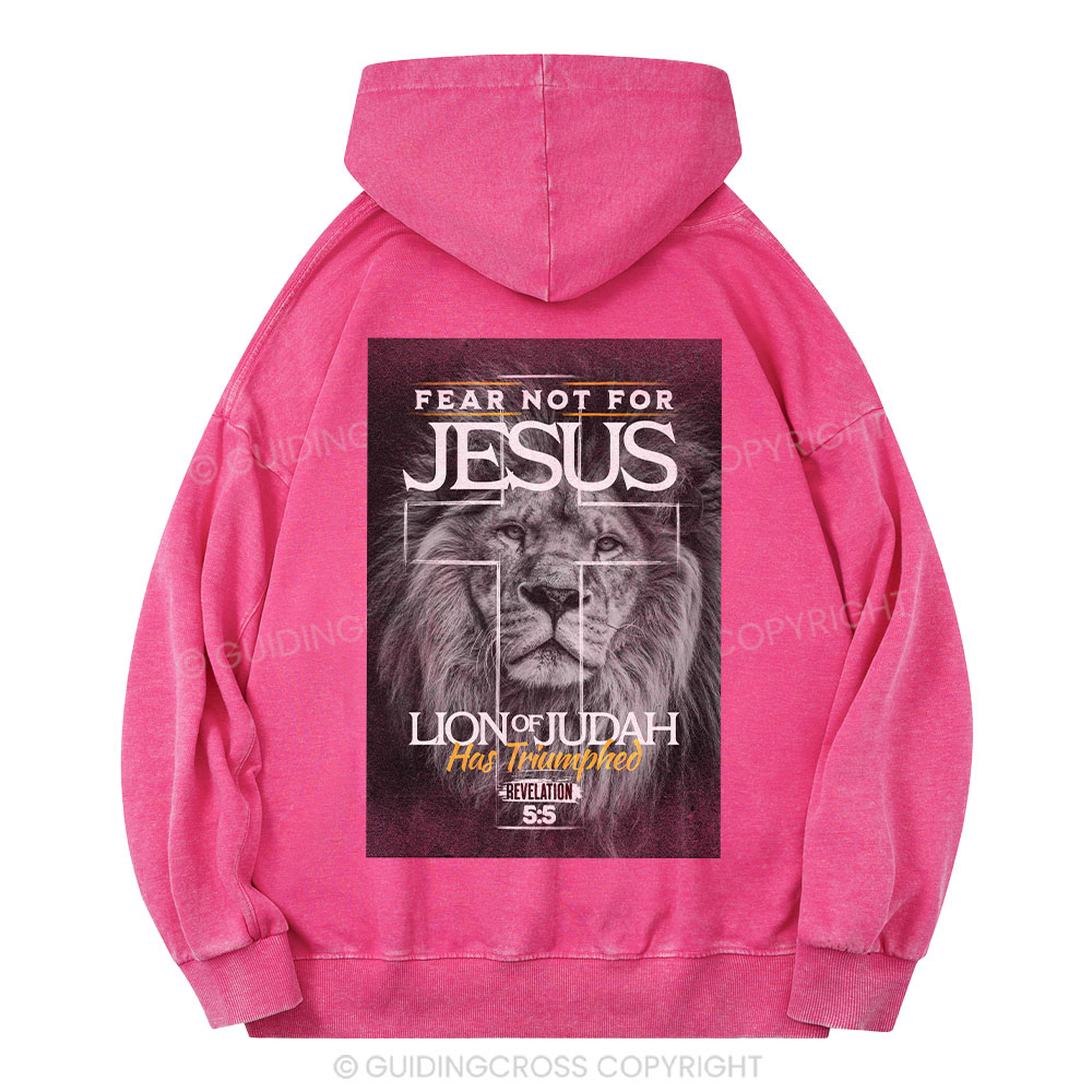 Fear Not Lion of Judah Christian Washed Hoodie