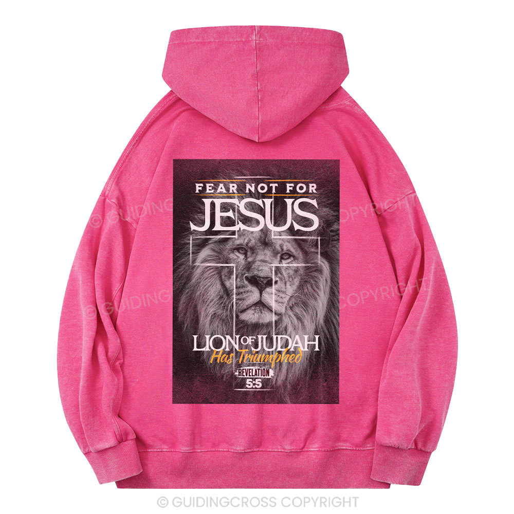 Fear Not Lion of Judah Christian Washed Hoodie