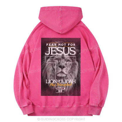 Fear Not Lion of Judah Christian Washed Hoodie