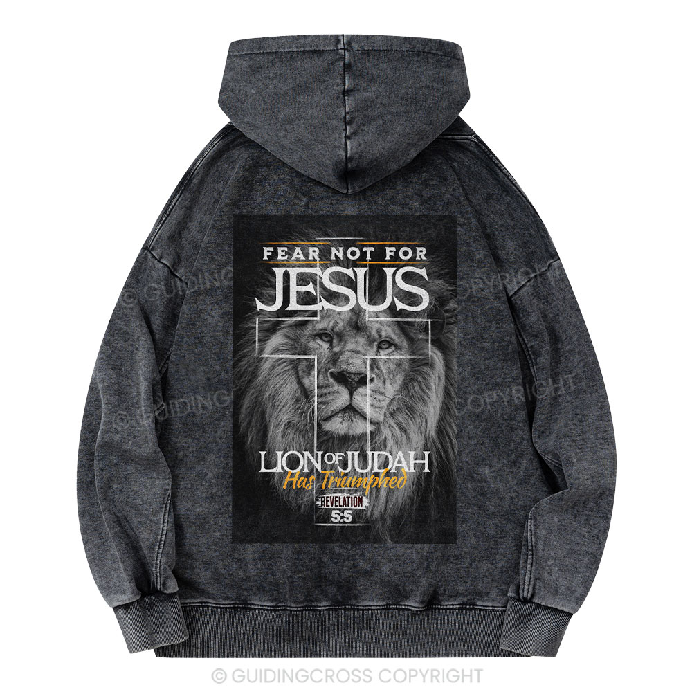 Fear Not Lion of Judah Christian Washed Hoodie