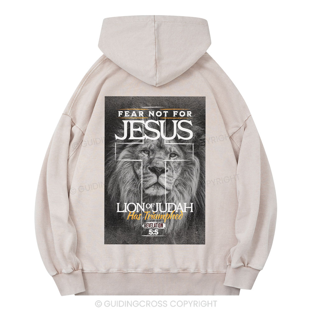 Transformed Christian Washed Hoodie Sale - GuidingCross