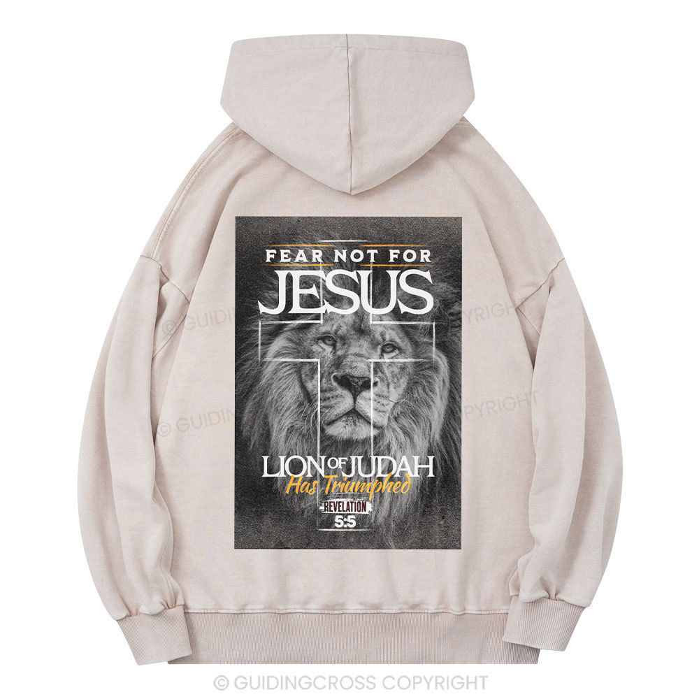 Transformed Christian Washed Hoodie Sale - GuidingCross
