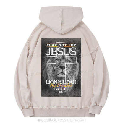 Fear Not Lion of Judah Christian Washed Hoodie