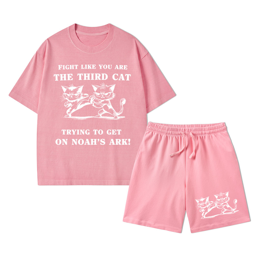Fight Like You Are The Third Cat Trying To Get On Noah's Ark Christian Washed T-Shirt & Shorts