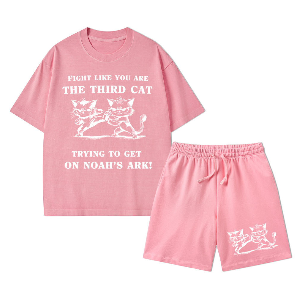 Fight Like You Are The Third Cat Trying To Get On Noah's Ark Christian Washed T-Shirt & Shorts