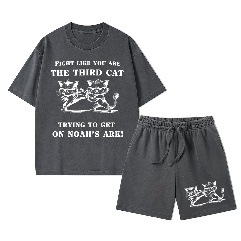 Fight Like You Are The Third Cat Trying To Get On Noah's Ark Christian Washed T-Shirt & Shorts