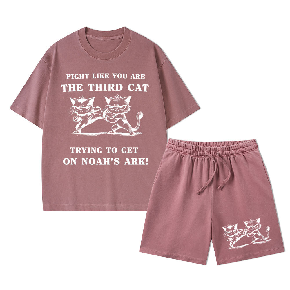 Fight Like You Are The Third Cat Trying To Get On Noah's Ark Christian Washed T-Shirt & Shorts