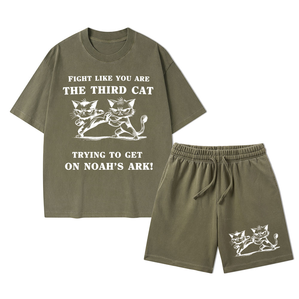 Fight Like You Are The Third Cat Trying To Get On Noah's Ark Christian Washed T-Shirt & Shorts