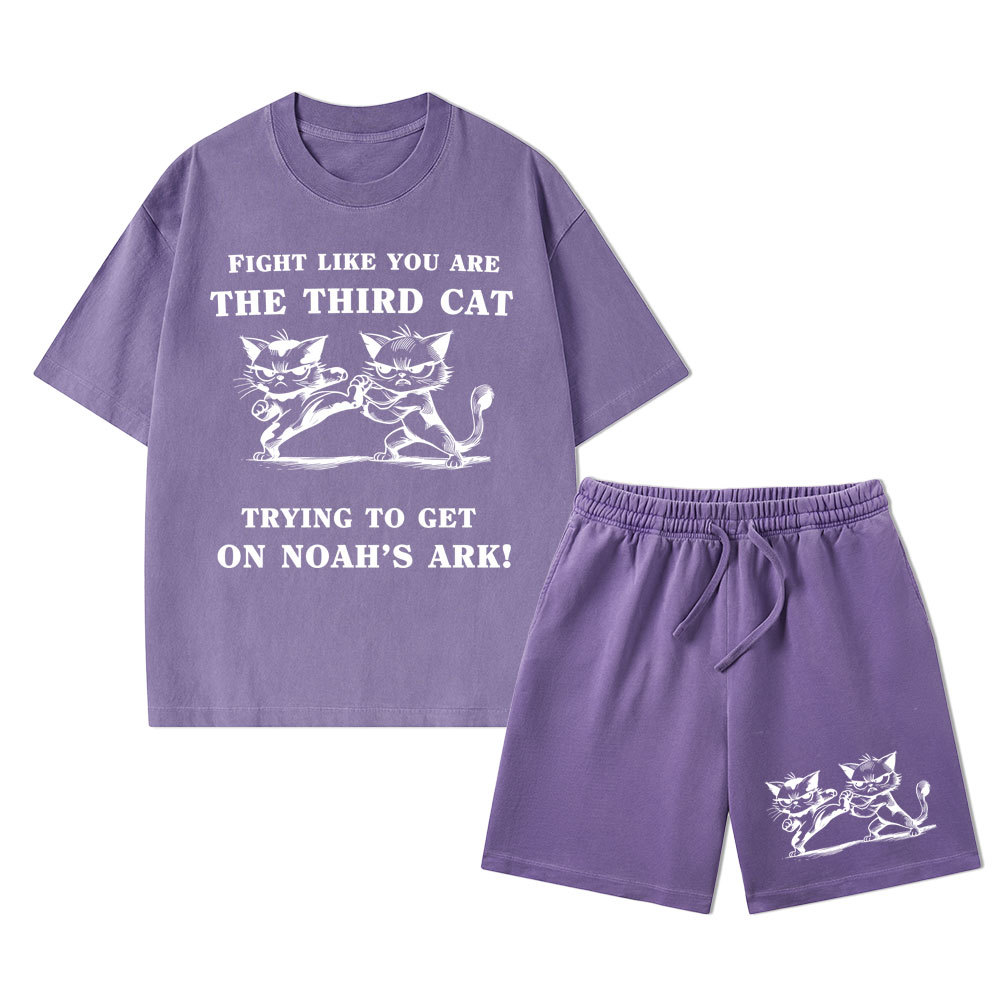 Fight Like You Are The Third Cat Trying To Get On Noah's Ark Christian Washed T-Shirt & Shorts