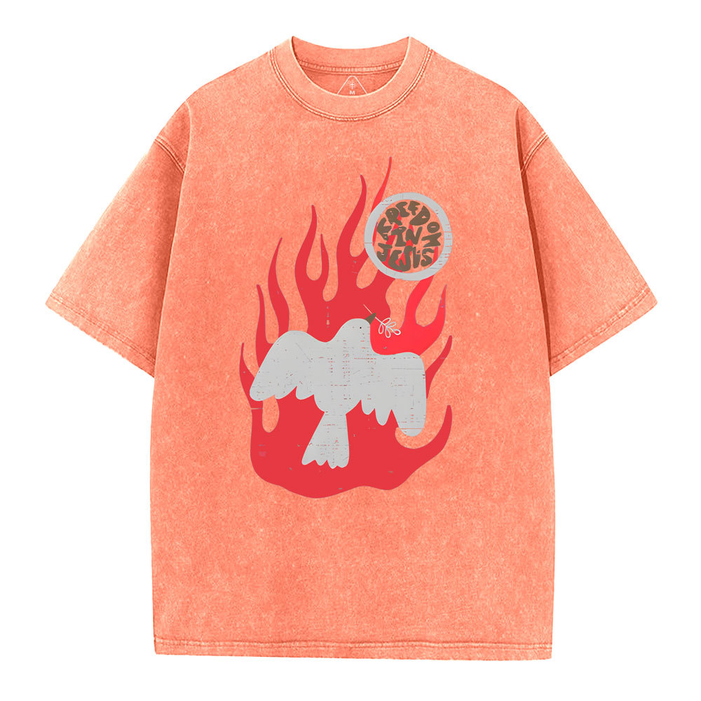 Filed With The Spirit Christian Washed T-Shirt