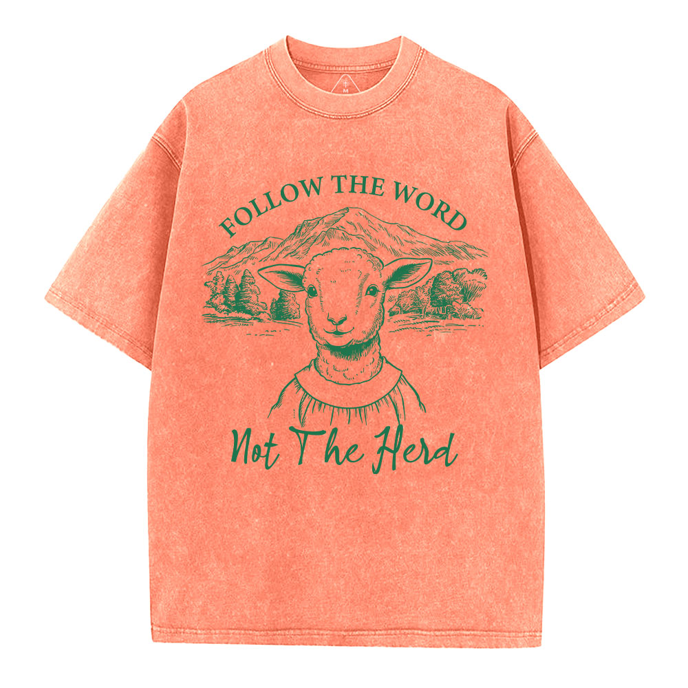 Follow The Word Not The Herd Christian Washed T-Shirt
